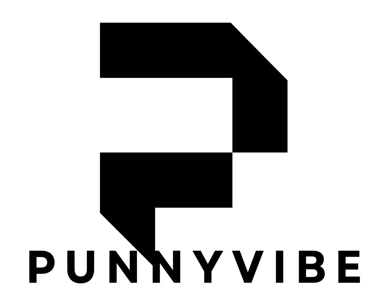 punnyvibe.com